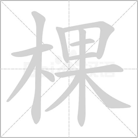 棵造詞|棵字的意思